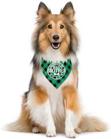 Promoted to Big Brother Dog Bandana - Green Buffalo Plaid