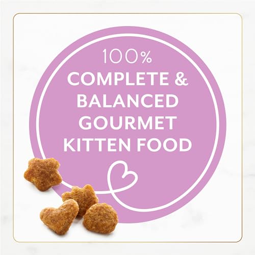 Image of Purina Fancy Feast Kitten With Savory Chicken and Turkey Kitten Dry Food - 7 lb. Bag