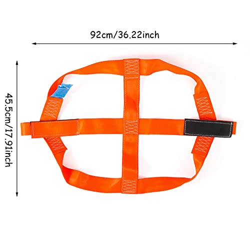 Cinghia universale per ruota posteriore per moto