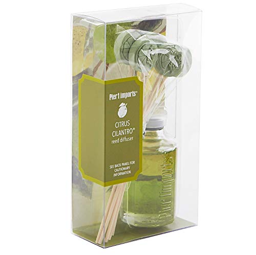 Pier 1 Import Mini Reed Diffuser (Citrus Cilantro)
