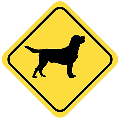Samunshi® Labrador Retriever Warnschild Warndreieck Aufkleber Achtung Vorsicht Hund - 10x10cm mehrfarbig