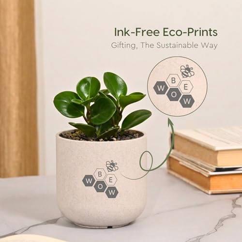 Image of Eha Earth-Friendly Printed Small Terrapod Planters for Home Decor | 3.5 Inch, Pack of 3 | Plant Gifts Made with Rice Husk Biocomposite | Flower Pot for Living Room| Sand Castle