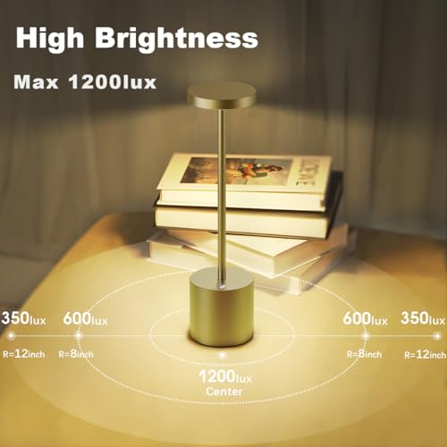 Lampe de table sans fil rechargeable LED Hapfish en métal