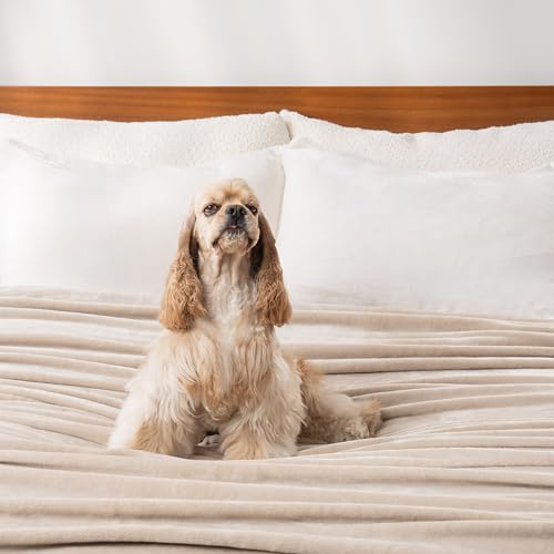 Berkshire Blanket Classic VelvetLoft® Solid Bed Blanket King Size, Lightweight Soft Fuzzy Plush Blanket for Bed and Couch, Grain, 90x108 Inches