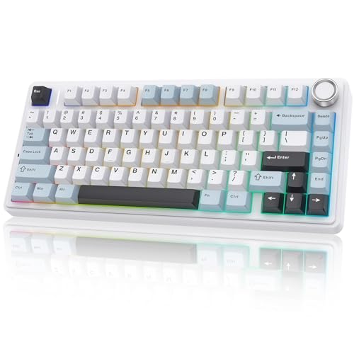 TZMRIT x Aula F75 75% Wireless Mechanical Keyboard, Hot Swappable Creamy Keyboard, Pre-lubed Reaper Switches, 2.4GHz/Type-C/BT5.0, RGB Backlit Gaming Keyboards,Blue