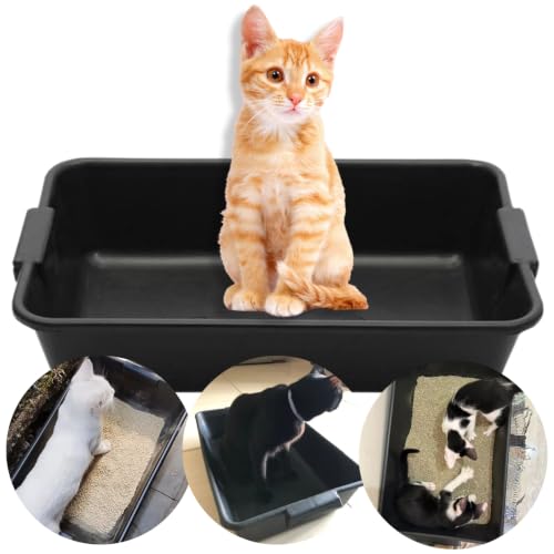Caixa De Areia Para Gato Pet Grande 22L Masseira Plastica Construcao, 1