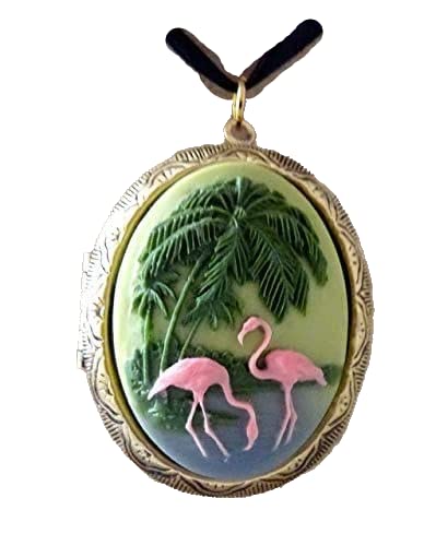 Médaillon porte-photo camée flamants roses collier vintage pendentif tropical