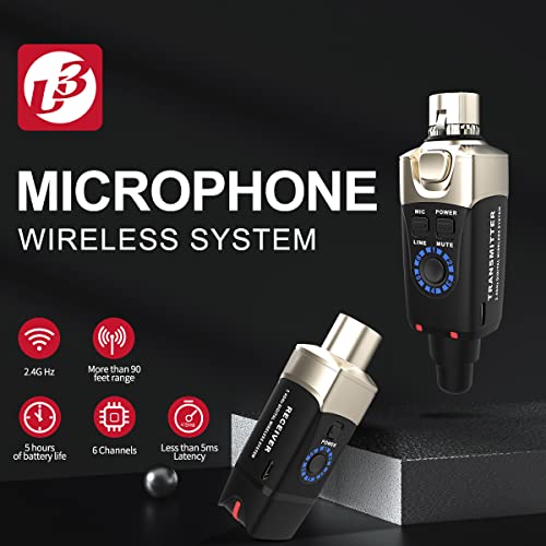 Sistema inalámbrico para micrófono dinámico Xvive U3 con estuche CU3 miniatura 2