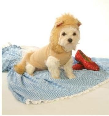Dog Costume - Hoodie Lion Pet Costume - XXX-Large