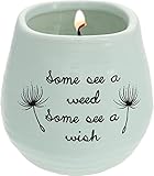 Pavilion Gift company 77111 – Dandelion Deseos – Algunos Ver una Hierba Algunos Ver un Deseo Serenidad de Soja – Vela aromática, de cerámica Verde