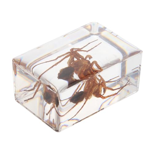 JEWEDECO 1 PC Insect Specimen Amber Specimen Amber Spider Toy Spider Attractive Amber Samples Spider Plushie Amber Scorpion Natural Amber Samples Natural Amber Insect Samples Resin