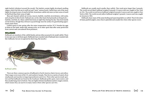 The Scouting Guide to Basic Fishing: An Officially-Licensed Book of the Boy Scouts of America: 200 E