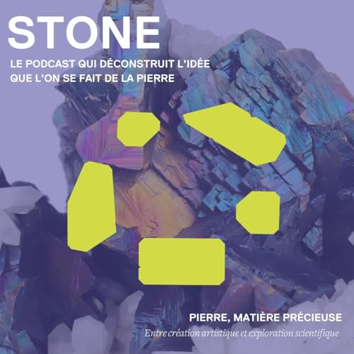 Pierre, mati&egrave;re pr&eacute;cieuse : Entre cr&eacute;ation artistique et exploration scientifique