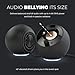Creative Pebble SE Minimalist 2.0 USB-C Powered PC Speakers with RGB Lighting​, 3.5 mm AUX-in, Up to 4.4W RMS Power for Computers and Laptops (Black)