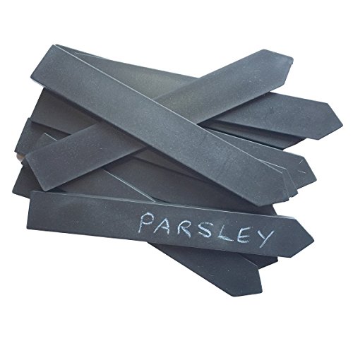 Bosmere W405 Plastic Plant Labels Made from Recycled Pots (20 Pack), 5.5"