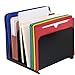 Steelmaster Vertical Organizer - 5 Compartment(S) - Steel - Black, 1 Each (2645004)