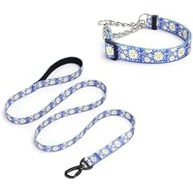 Martingale Collar for Dogs, No-Slip Escape Proof Choke No Pull Cinch Daisy Print Soft Nylon Dog Training Collars Adjustable for Medium Large Breed Pet Dogs Dark Blue + Leash, M