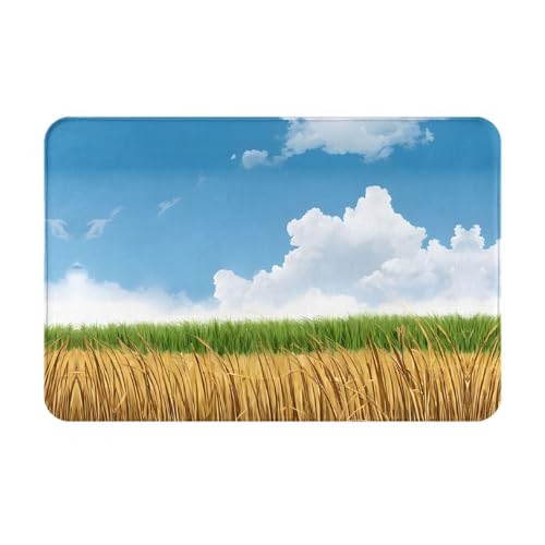 BLUYIG Wheat Field Design for Home Entrance Indoor and,Non-Slip Dust Absorbent Front Doormat,17x30 Inch