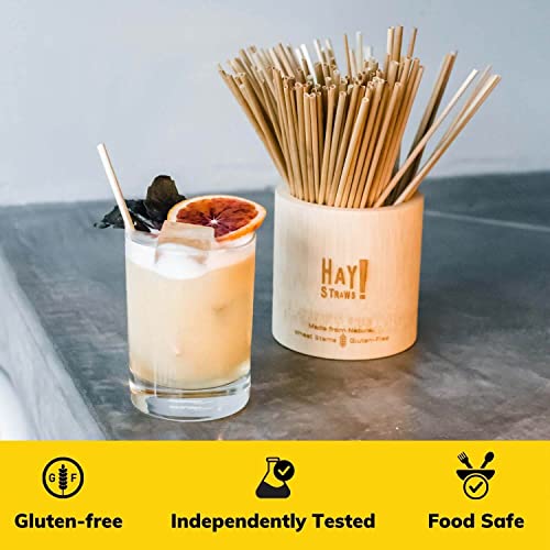 Hay! Straws Cocktail Straw | 100Ct | 5" | 100% Biodegradable, 100% Plant-Based, Never Soggy, Gluten-Free | Sustainable Alternative To Plastic & Bioplastic Straws #TOP4