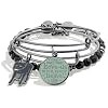 Alex and Ani Harry Potter – Sirius Black Character Set of 3 Expandable Charm Bangle Bracelet, Midnight Silver Finish, Green Charm, 2 to 3.5 in