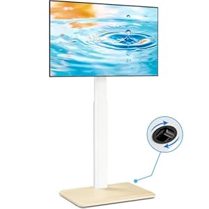 5Rcom Rollbarer TV Ständer für 24-55 Zoll