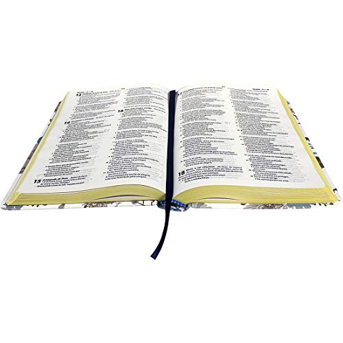 Bíblia Sagrada NTLH - Capa Perfume: Nova Tradução na Linguagem de Hoje (NTLH)