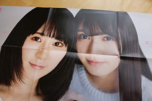 Amazon.co.jp: ポスター 欅坂46 渡辺梨加 長沢菜々香 : おもちゃ