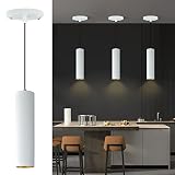 Arcfox 10W 3CCT Modern Ceiling Pendant Light Fixture, Triac Dimming LED Hanging Light for Restaurant