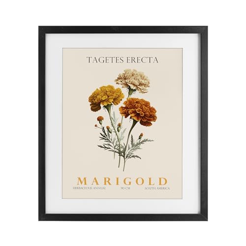 Natural Marigold Bundle Floral, 17 x 21 Inch Framed Print Under Glass