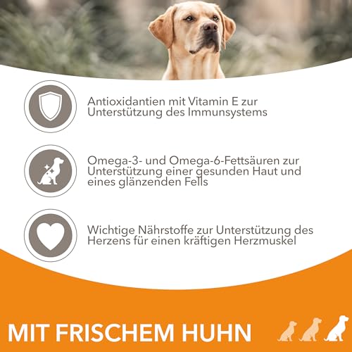 IAMS Hundefutter trocken mit Huhn - Trockenfutter für Erwachsene Hunde ab 1 Jahr, geeignet für große Hunde, 12 kg