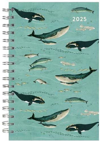 2025 Weekly & Monthly Planner, 16-Month Engagem... 1531941176 Book Cover