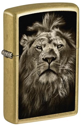 Zippo Encendedor Lion Eyes Street Brass 81726 miniatura 1