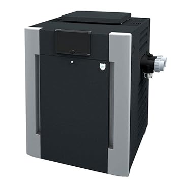raypak asme pool heater