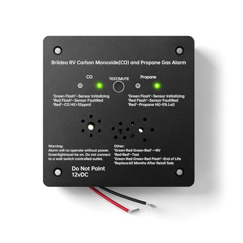 RV Carbon Monoxide & Propane Gas Alarm, Briidea Dual LP/CO Detector with 2 UL-Listed Independent Sensors & Separate LED Indicator, Metal Housing, Flush Mount, 100dB Loud Alert for Real-Time Warning