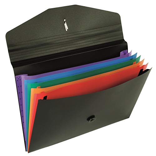 Viquel Busta a soffietto Rainbow Class