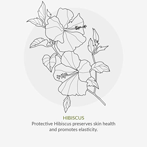 Age Defy+ Purify & Hydrate Cream Cleanser 150ml | Natural & Organic Anti-Ageing Cleanser by Cha Vøhtz | Purifying Facial Cleanser for Mature Skin | Paraben Free & Ethyl Alcohol Free | Cruelty Free - Image 7