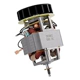 Flowtron Leaf Eater Motor Assembly for LE-900