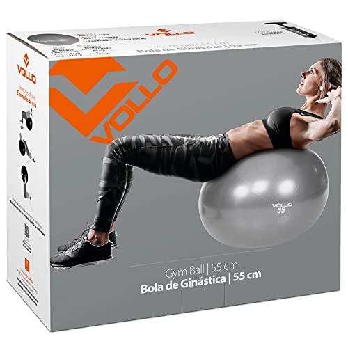 Bola de PIlates e Fisioterapia Pélvica Vollo VP1034 55cm Com Bomba