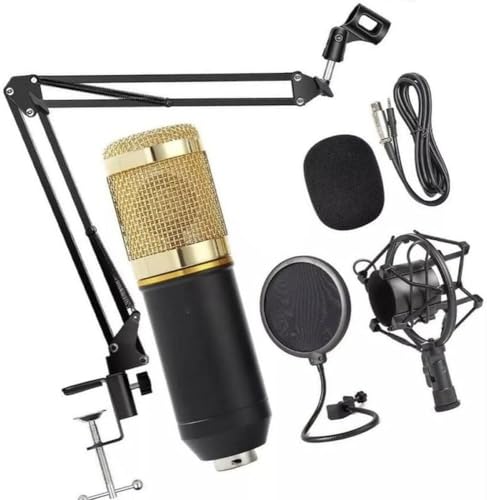 Kit Microfone Estúdio BM800 + Pop Filter + Aranha + Braço Articulado 813 - Lorben