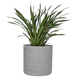 MEGASKET Grey Plant Basket, Woven Basket Planter for 10 inch Pot, Round Indoor Tree Pot Cover, Small Gray Storage Bin Organizer, Decorative Planter and Home Decor, 11”X11”