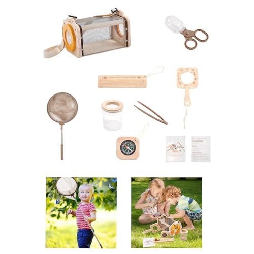 Boîte d'observation en bois avec attrape-coccinelles pour enfant