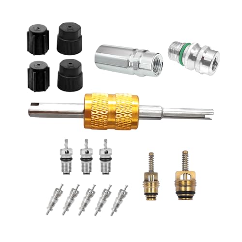 Bittwee BITTWEE-AUTO 17Pcs Car Air Conditioning Valve Core Kit cover