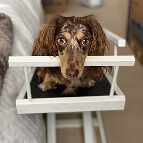 Doggoramps Dog Ramp For Beds - Solid Hardwood With 5 Finish Options - Adjustable Up To 37" High Beds With Low Incline, Safety Rails & Anti-Slip Grip, For Small Dogs Up To 50Lbs - Made In North America #TOP1