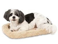Algopix Similar Product 10 - Petmate Bolster Style Kennel Mat