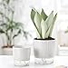 Samhe 4 Pack Self Watering Pots Set, 4+5.5 Inch Self Watering Pots for Indoor Plants, Planter Pot with Wick Rope and Reservoir for African Violet, Spider Plant, Orchid