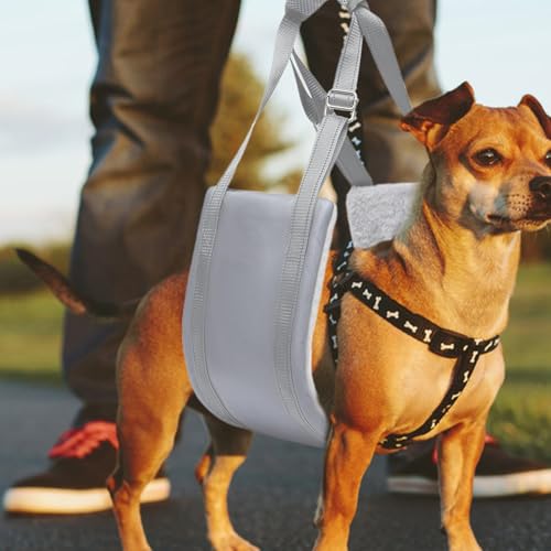 Arnés de levantamiento para perros con forro suave acolchado y malla transpirable Anzia 4