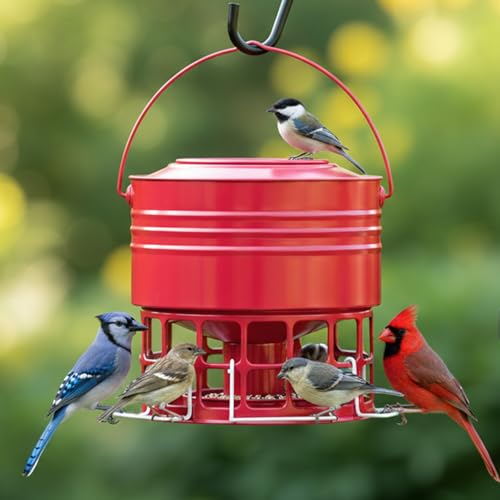 KOL 10LB Squirrel-Proof Metal Bird Feeder with 32 Ports