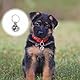 Bruislard Hundehalsbandglocken Anhänger Haustierzubehör Hund 25 Stück Metallglöckchen Glocke Haustier Katzen Glocken für Hunde Halsband Dekor DIY kleine Glocken Festival Party