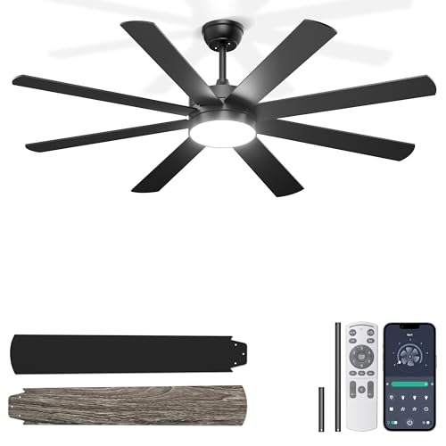 Phylluz 60 Black Ceiling Fan with Lights for Indoor/Covered Outdoor