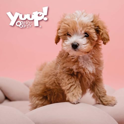 Yuup! Shampoo für Welpen und Hunde mit empfindlicher Haut 250ml – Bild 7